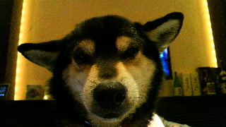 2012021318020001.jpg