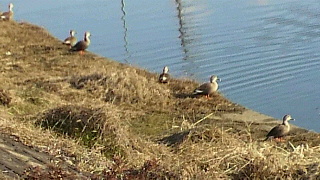 2012021406300000.jpg
