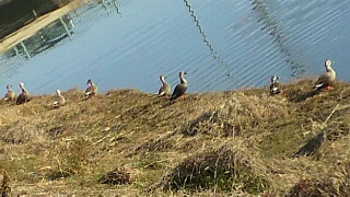 2012021406310000.jpg