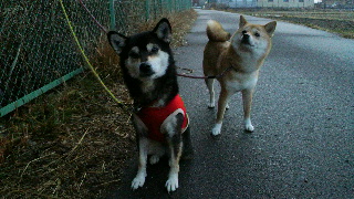 2012021406310001.jpg