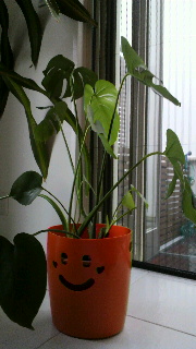 2012021706020000.jpg