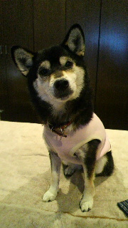 2012021706030001.jpg