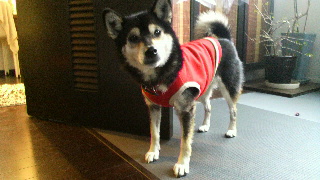 2012021706040000.jpg