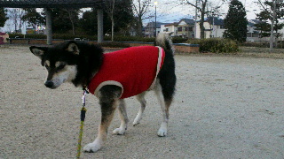 2012021813590001.jpg
