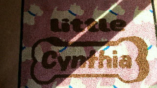 2012021815270000.jpg
