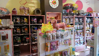 2012021815270001.jpg