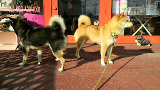 2012021815270002.jpg