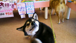 2012021815270003.jpg