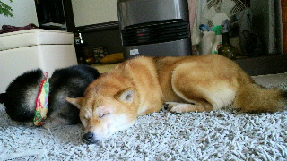 2012021913090000.jpg