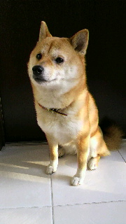 2012022521010001.jpg