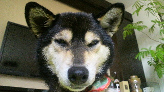 2012030113460001.jpg