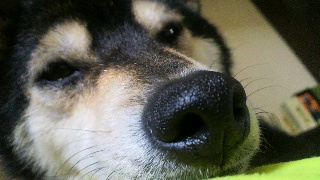 2012030113460002.jpg