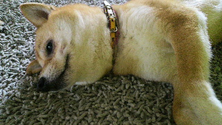 2012030114390002.jpg