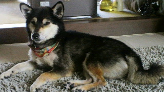 2012030114390003.jpg