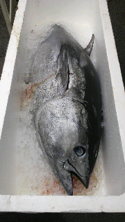 2012030409490000.jpg