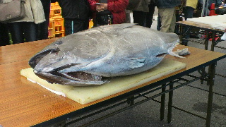 2012030409540000.jpg