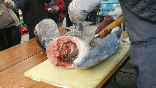 2012030410040000.jpg