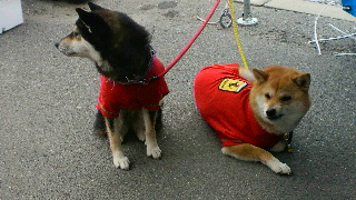 2012030410060000.jpg