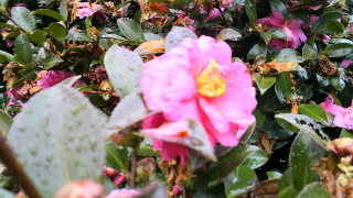 2012030417070000.jpg