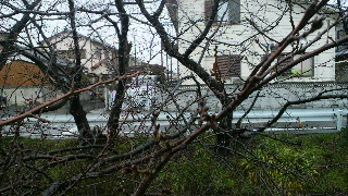 2012030417070002.jpg
