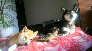 2012030417130000.jpg