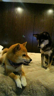 2012030707330002.jpg