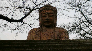 2012030921450001.jpg
