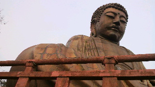 2012030921450002.jpg