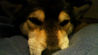 2012030921460000.jpg