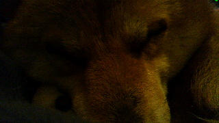 2012030921470000.jpg