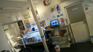 2012031020320001.jpg