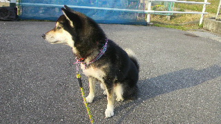 2012031207390003.jpg