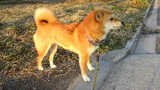 2012031306420000.jpg
