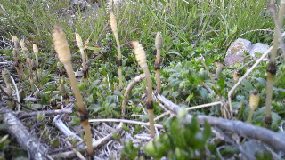 2012031606190001.jpg