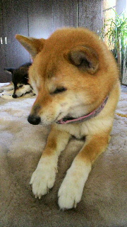 2012031606210000.jpg