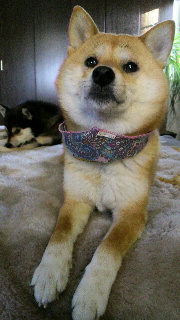 2012031606220000.jpg