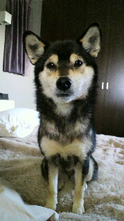 2012031606220001.jpg