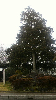 2012031712200000.jpg