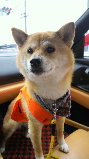 2012031807570001.jpg