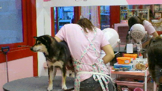 2012031817590000.jpg