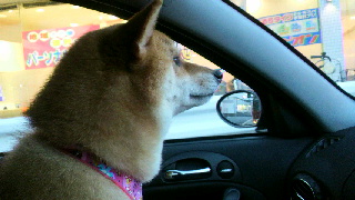 2012031818050000.jpg