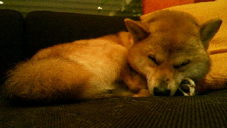 2012031821000000.jpg