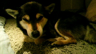 2012031821000001.jpg