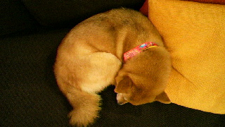 2012031821150002.jpg