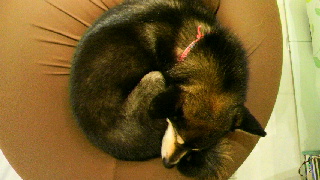 2012031821150003.jpg