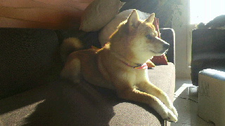 2012031908050000.jpg