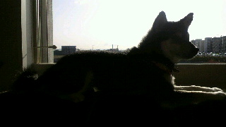 2012031908050001.jpg