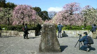 2012031910360000.jpg