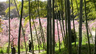 2012031910360002.jpg