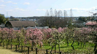2012031910360003.jpg